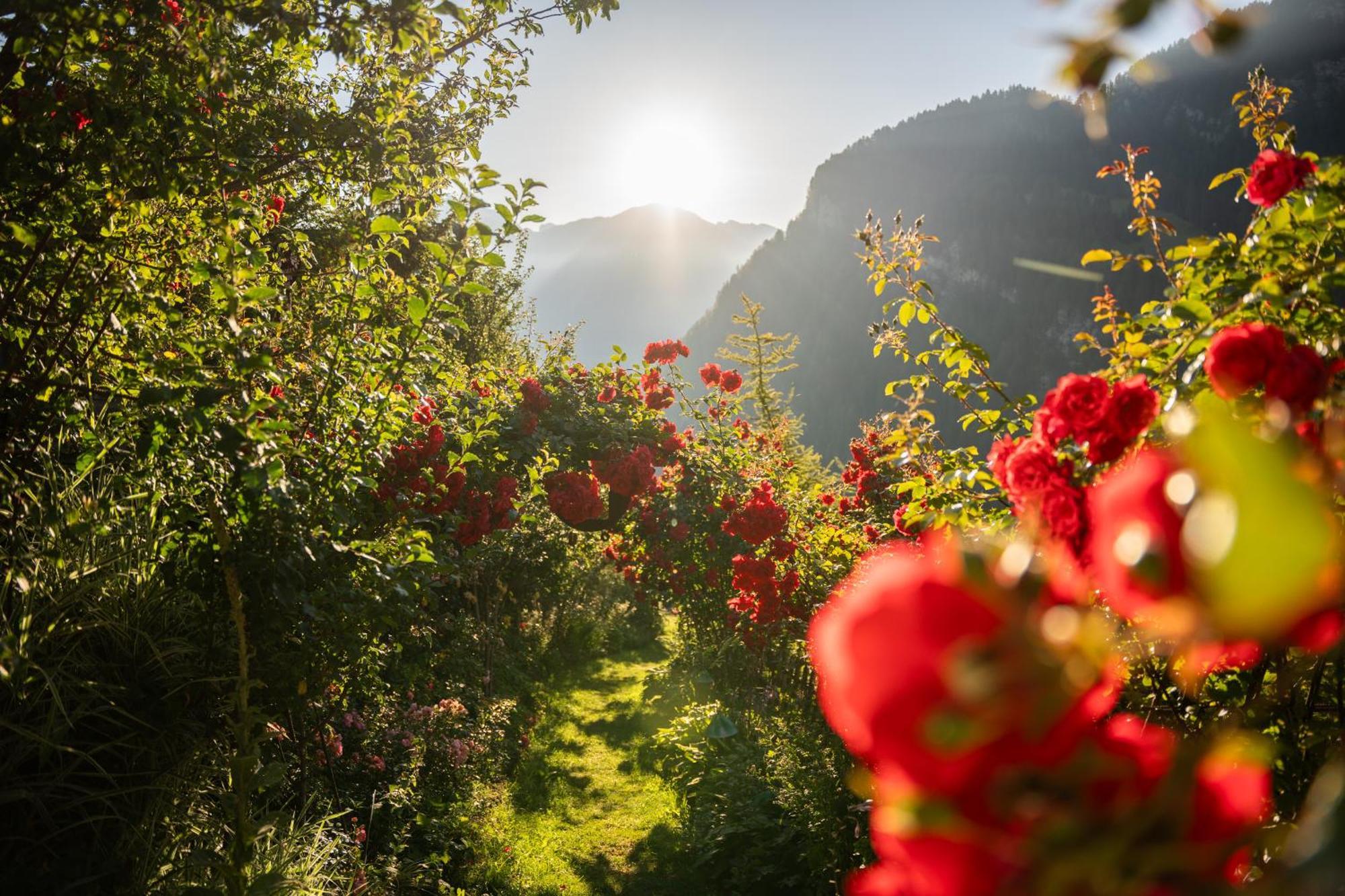 Charmehotel Uhrerhof - Deur 4*